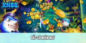 Bắn cá nhân ngư
