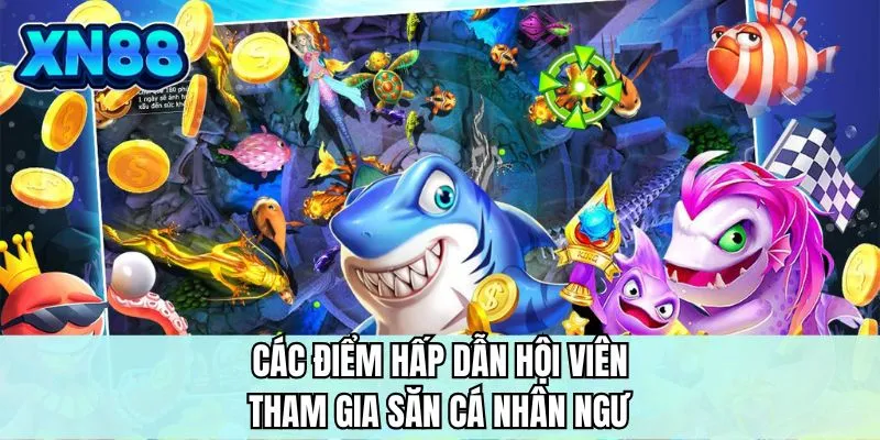 Các điểm hấp dẫn hội viên tham gia săn cá nhân ngư