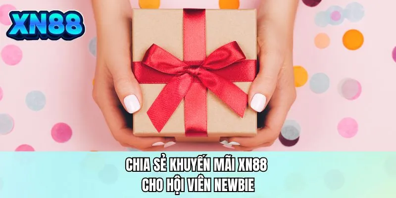 Chia sẻ khuyến mãi XN88 cho hội viên newbie