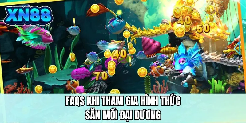 FAQS khi tham gia hình thức săn mồi đại dương