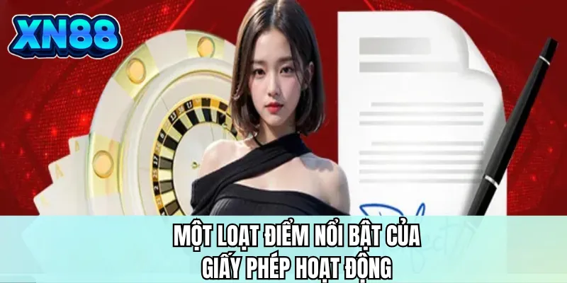Một loạt điểm nổi bật của giấy phép hoạt động