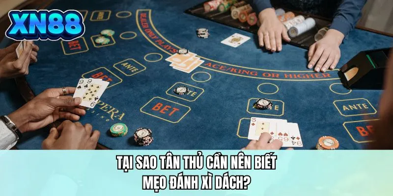 Tại sao tân thủ cần nên biết mẹo đánh xì dách?