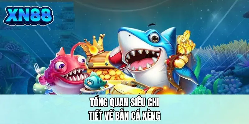 Tổng quan siêu chi tiết về bắn cá xèng